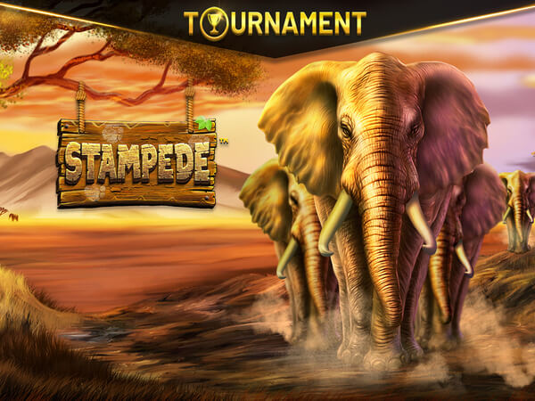 Jogo do tigre aposta